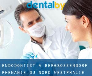 Endodontist à Bergbossendorf (Rhénanie du Nord-Westphalie)