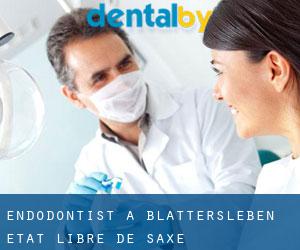 Endodontist à Blattersleben (État libre de Saxe)