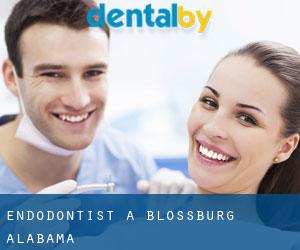 Endodontist à Blossburg (Alabama)