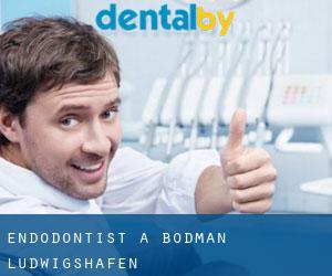Endodontist à Bodman-Ludwigshafen