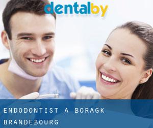 Endodontist à Boragk (Brandebourg)