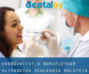 Endodontist à Borsflether Altendeich (Schleswig-Holstein)