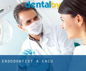 Endodontist à Caçu