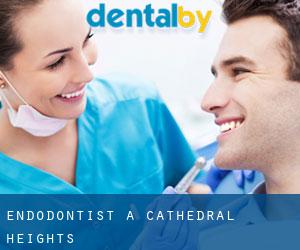 Endodontist à Cathedral Heights