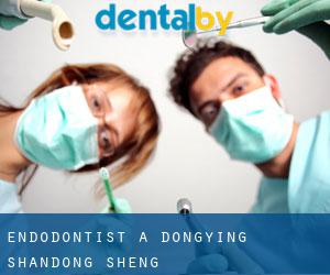 Endodontist à Dongying (Shandong Sheng) Endodontist à Dongying (Shandong Sheng)