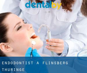 Endodontist à Flinsberg (Thuringe)