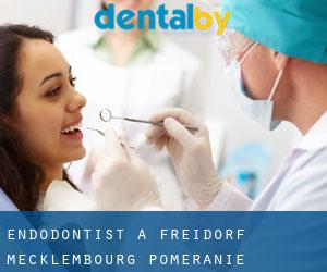 Endodontist à Freidorf (Mecklembourg-Poméranie)
