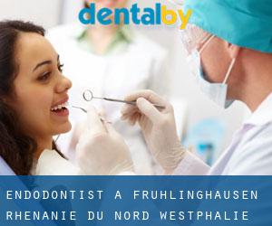 Endodontist à Frühlinghausen (Rhénanie du Nord-Westphalie)