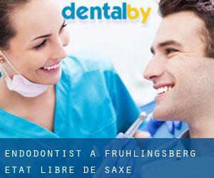 Endodontist à Frühlingsberg (État libre de Saxe)