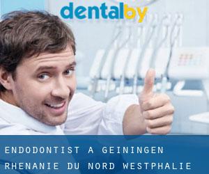 Endodontist à Geiningen (Rhénanie du Nord-Westphalie)