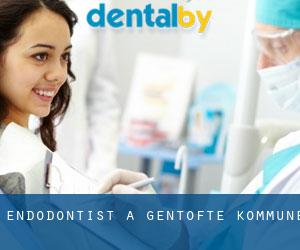 Endodontist à Gentofte Kommune
