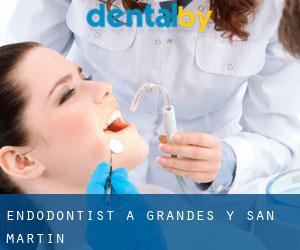 Endodontist à Grandes y San Martín