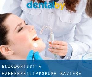Endodontist à Hammerphilippsburg (Bavière)