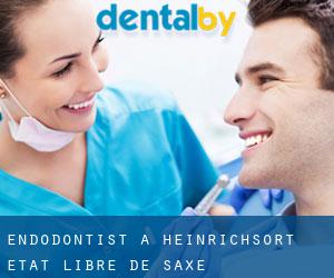 Endodontist à Heinrichsort (État libre de Saxe)