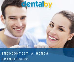 Endodontist à Hönow (Brandebourg)