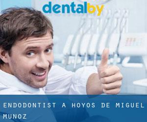 Endodontist à Hoyos de Miguel Muñoz