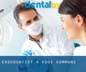 Endodontist à Køge Kommune