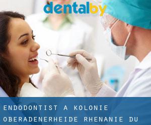 Endodontist à Kolonie Oberadenerheide (Rhénanie du Nord-Westphalie)