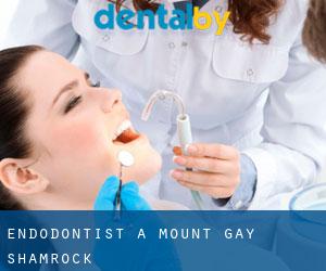 Endodontist à Mount Gay-Shamrock