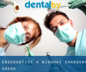 Endodontist à Ninghai (Shandong Sheng)