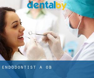 Endodontist à Ob'