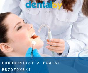 Endodontist à Powiat brzozowski