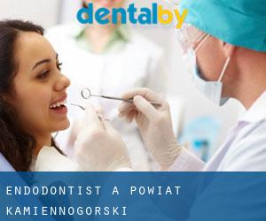 Endodontist à Powiat kamiennogórski