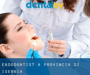 Endodontist à Provincia di Isernia