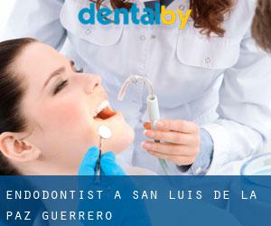 Endodontist à San Luis de la Paz (Guerrero)