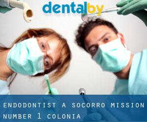 Endodontist à Socorro Mission Number 1 Colonia