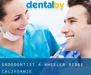 Endodontist à Wheeler Ridge (Californie)
