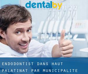 Endodontist dans Haut-Palatinat par municipalité - page 1