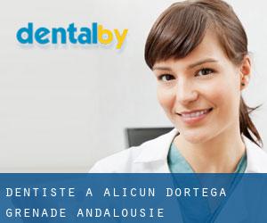 dentiste à Alicún d'Ortega (Grenade, Andalousie)