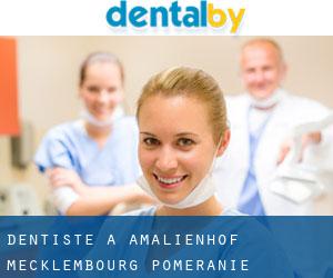 dentiste à Amalienhof (Mecklembourg-Poméranie)