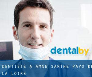 dentiste à Amné (Sarthe, Pays de la Loire)