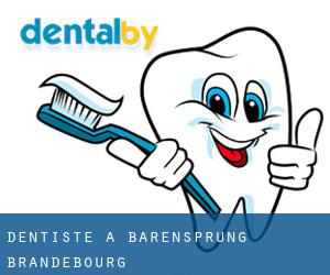 dentiste à Bärensprung (Brandebourg)