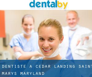 dentiste à Cedar Landing (Saint Mary's, Maryland)