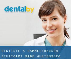 dentiste à Gammelshausen (Stuttgart, Bade-Wurtemberg)