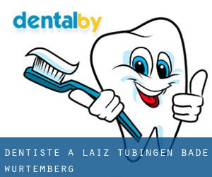 dentiste à Laiz (Tübingen, Bade-Wurtemberg)