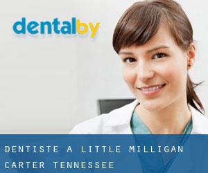 dentiste à Little Milligan (Carter, Tennessee)