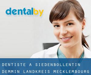 dentiste à Siedenbollentin (Demmin Landkreis, Mecklembourg-Poméranie)