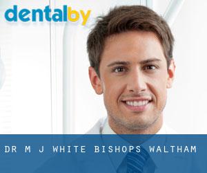 Dr M J White (Bishops Waltham)
