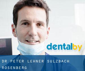 Dr. Peter Lehner (Sulzbach-Rosenberg)