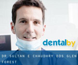 Dr. Sultan E. Chaudhry, DDS (Glen Forest)