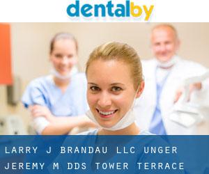 Larry J Brandau LLC: Unger Jeremy M DDS (Tower Terrace)