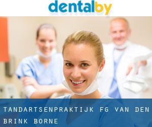 Tandartsenpraktijk F.G. van den Brink (Borne)